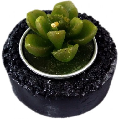 Świeca  ozdobna kaktus 4.5x3cm w świeczniku ceramicznym czarnym śr.6.2cm