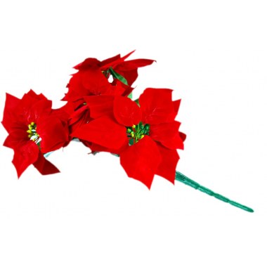 Święta boż.-kwiat gwiazda betlejemska 1szt 05kwiaty 43-47cm czerwona